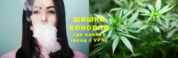 ГАЛЛЮЦИНОГЕННЫЕ ГРИБЫ Богданович